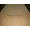 WBP Marine Container Flooring Plywood